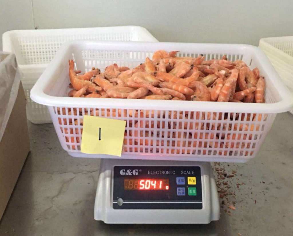 Frozen Seafood Inspection